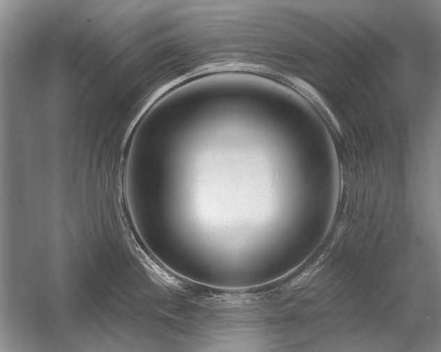 X0000058121244200509231044