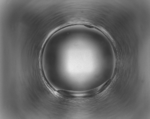 X0000058121246200509231044