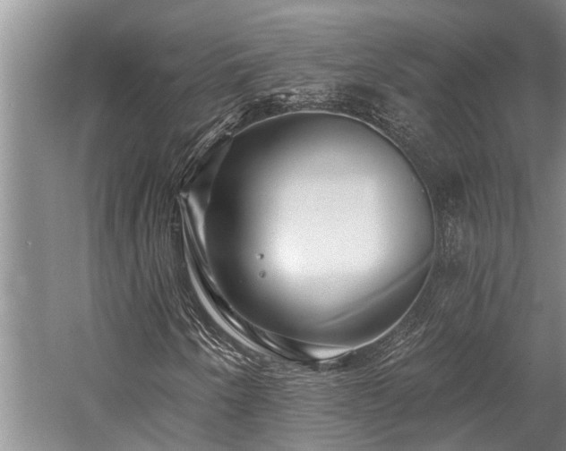 X0000058121250200509231043