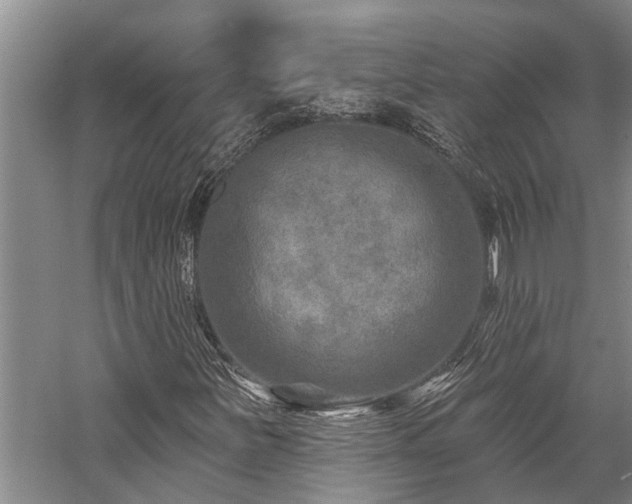 X0000058121251200509231043