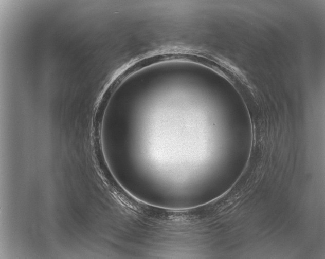 X0000058121264200509231043