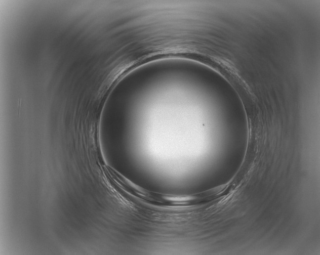 X0000058121273200509231043