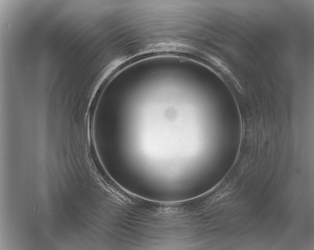 X0000058121275200509231043