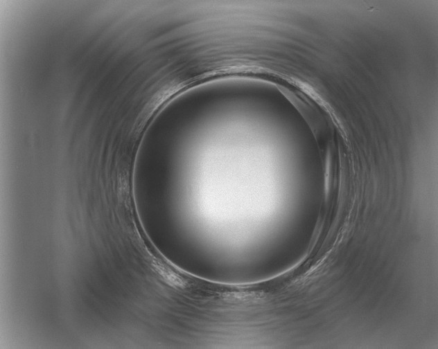 X0000058121281200509231042