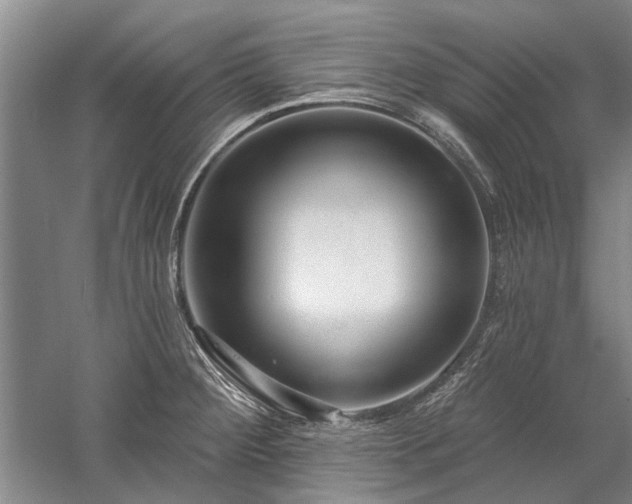 X0000058121284200509231042