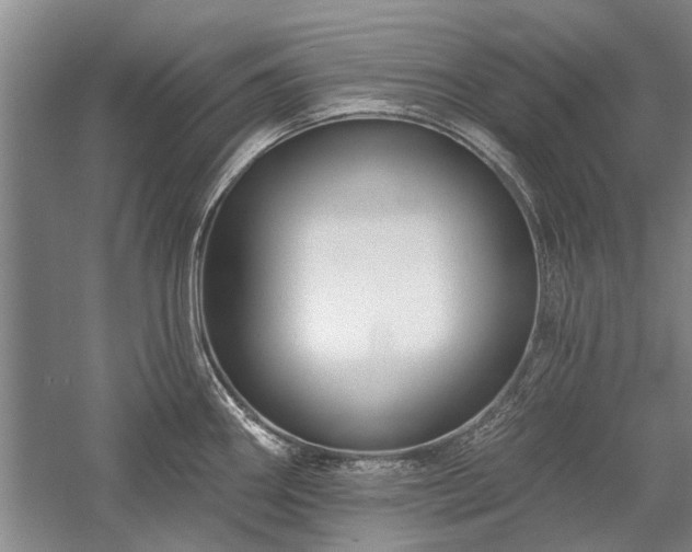 X0000058121290200509231042