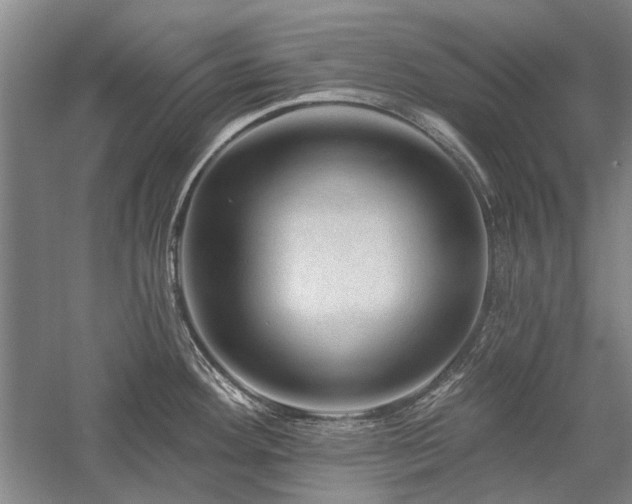 X0000058121292200509231042
