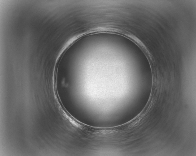 X0000058121294200509231042