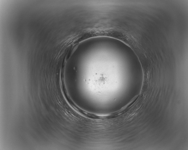 X0000058121300200509231041
