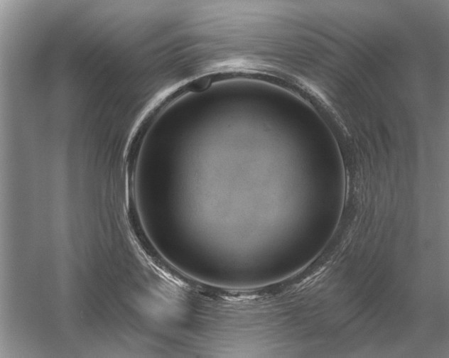 X0000058121323200509231042