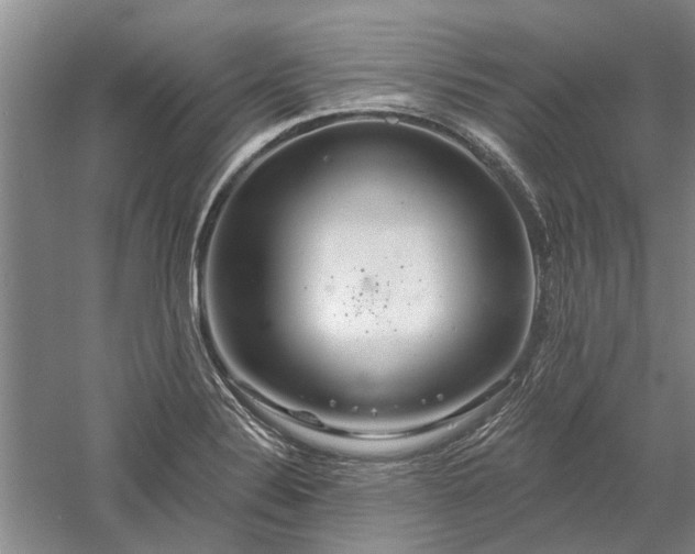 X0000058121324200509231042