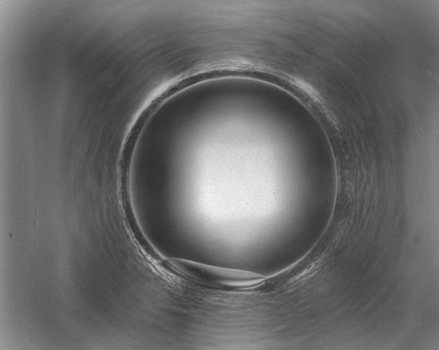 X0000058121326200509231042