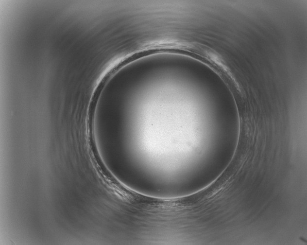 X0000058121328200509231042