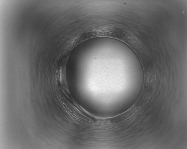 X0000058121346200509231041