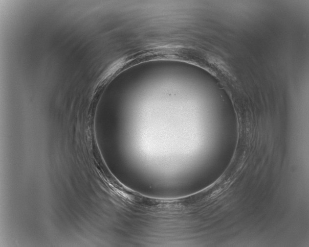 X0000058121354200509231041