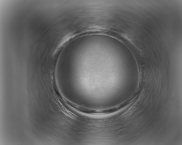 X0000058121355200509231041