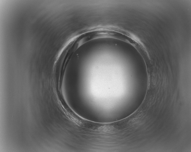 X0000058121368200509231041