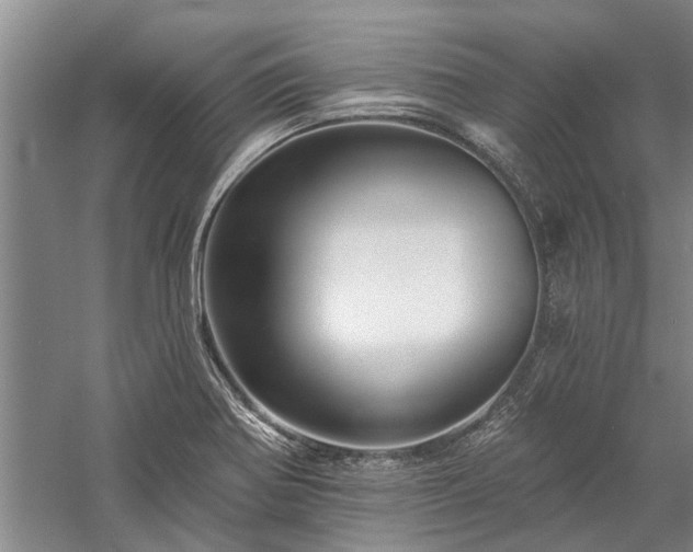 X0000058121370200509231041