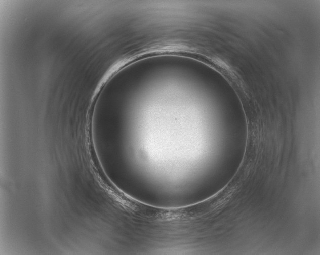 X0000058121374200509231041