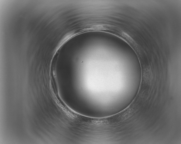 X0000058121378200509231041