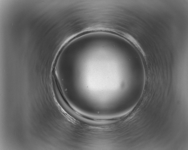 X0000058121388200509231041