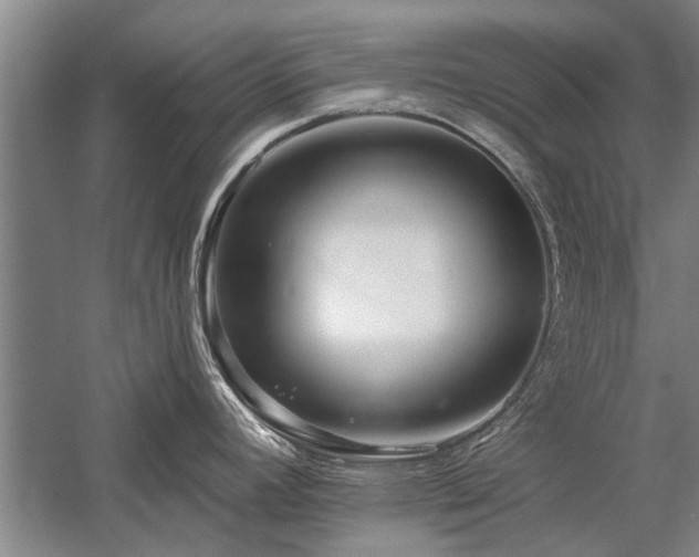 X0000058121392200509231041