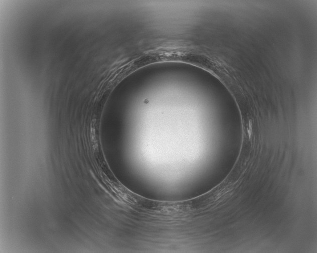 X0000058121396200509231040
