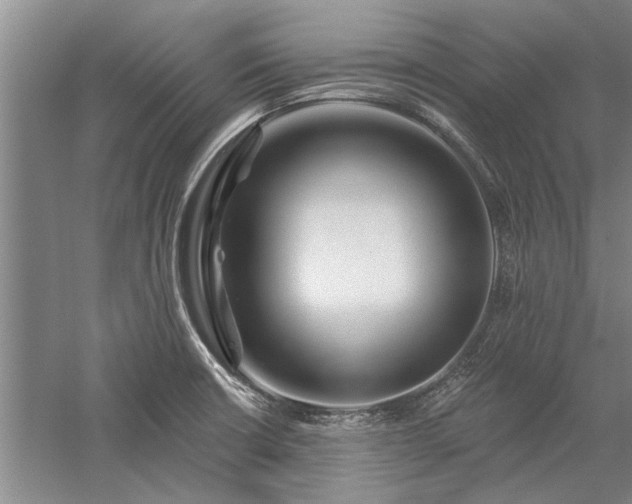 X0000058121426200509231040