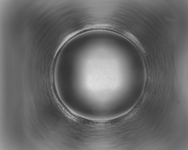 X0000058121436200509231041