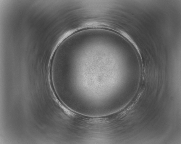 X0000058121437200509231041