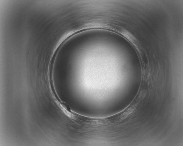 X0000058121438200509231041