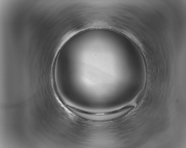 X0000058121440200509231041