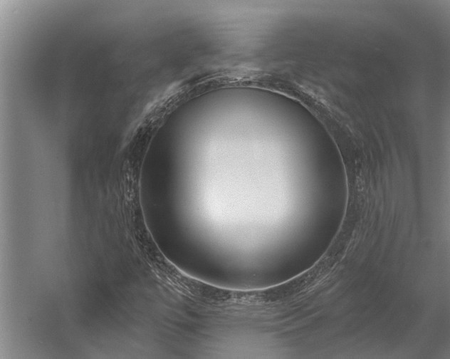 X0000058121447200509231040