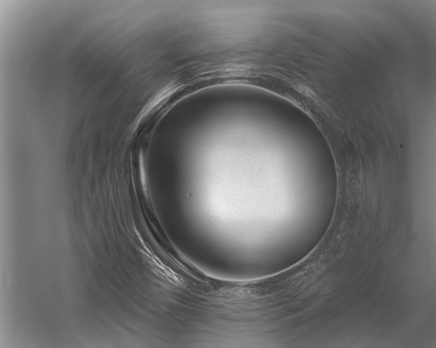 X0000058121450200509231040