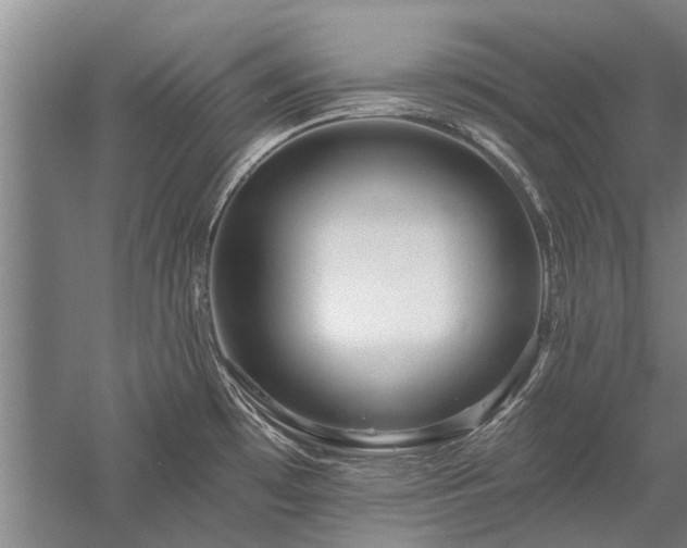 X0000058121481200509231039