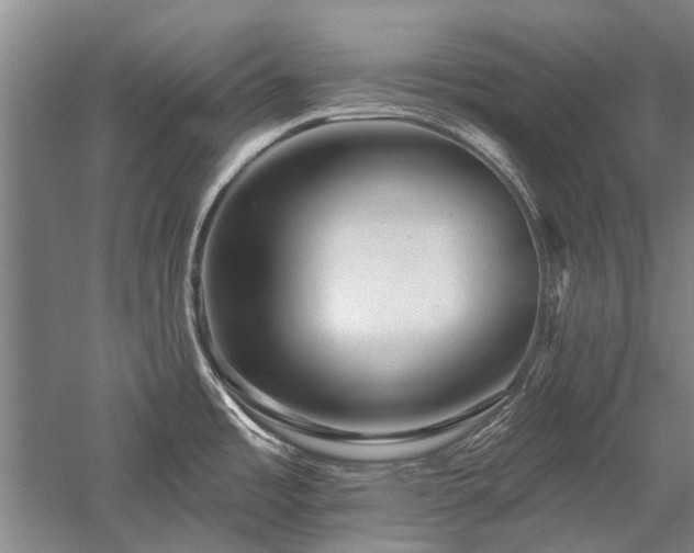 X0000058121485200509231039