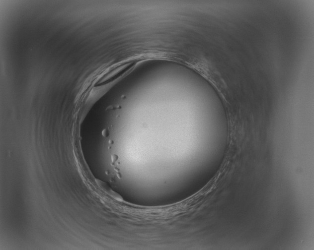 X0000058120001200509261246