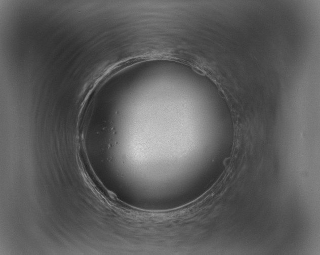 X0000058120002200509261246