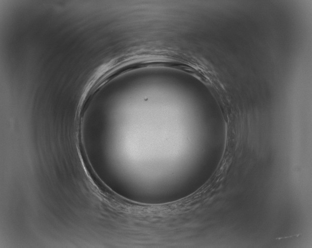 X0000058120003200509261246