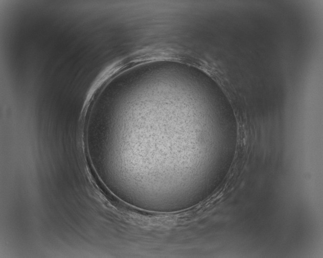 X0000058120004200509261246