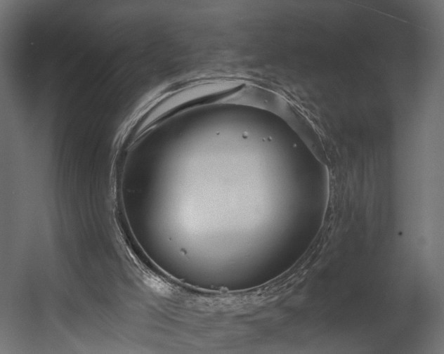 X0000058120005200509261246