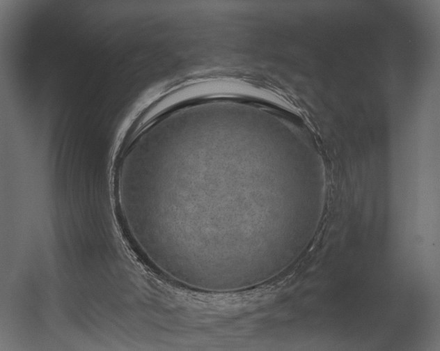 X0000058120006200509261246