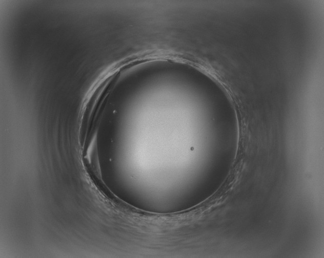 X0000058120007200509261246