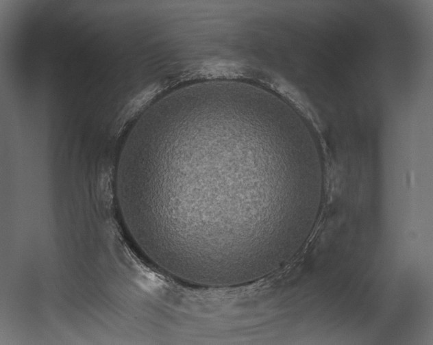 X0000058120009200509261246