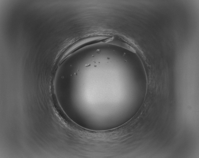 X0000058120010200509261246