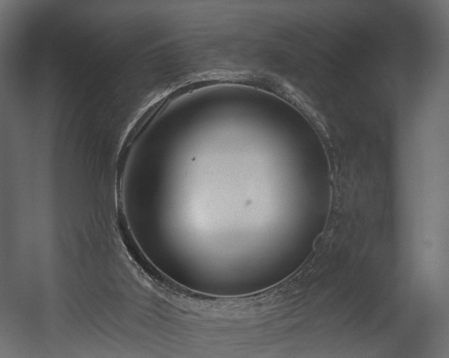 X0000058120011200509261246