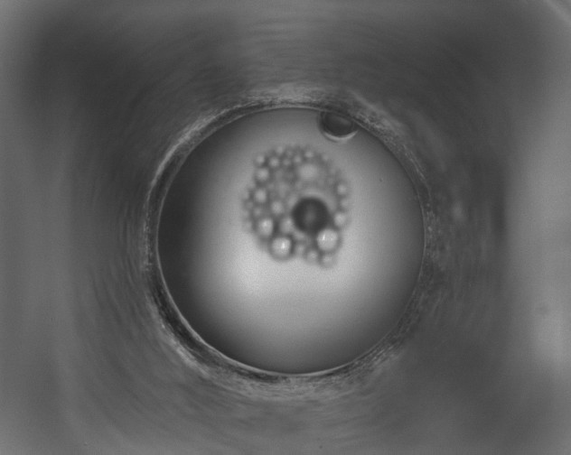 X0000058120012200509261246