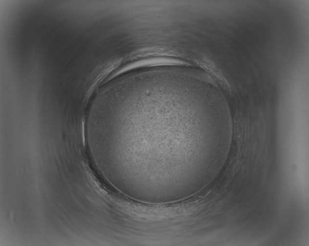 X0000058120014200509261246