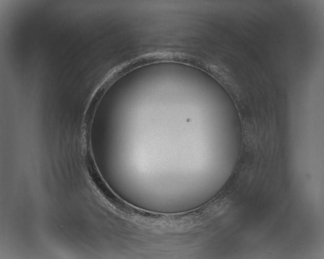 X0000058120016200509261246