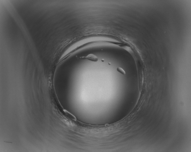 X0000058120017200509261246